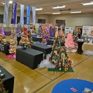 Festival of Trees Annual Event
